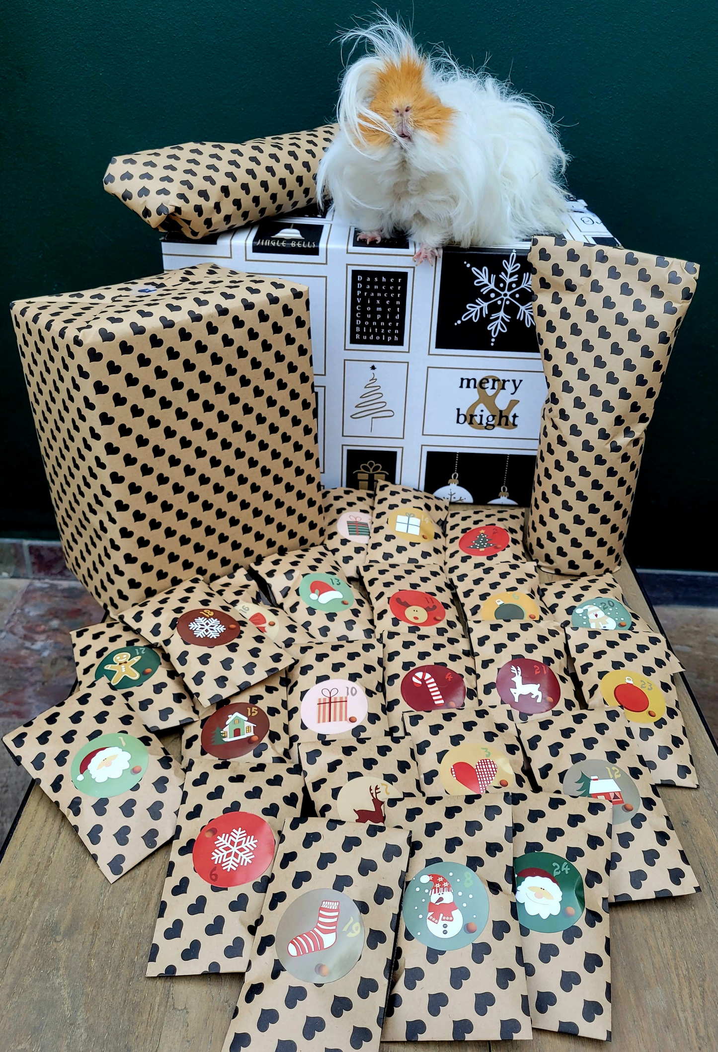 Adventskalender Kerst Knaagbox konijn en cavia 2025