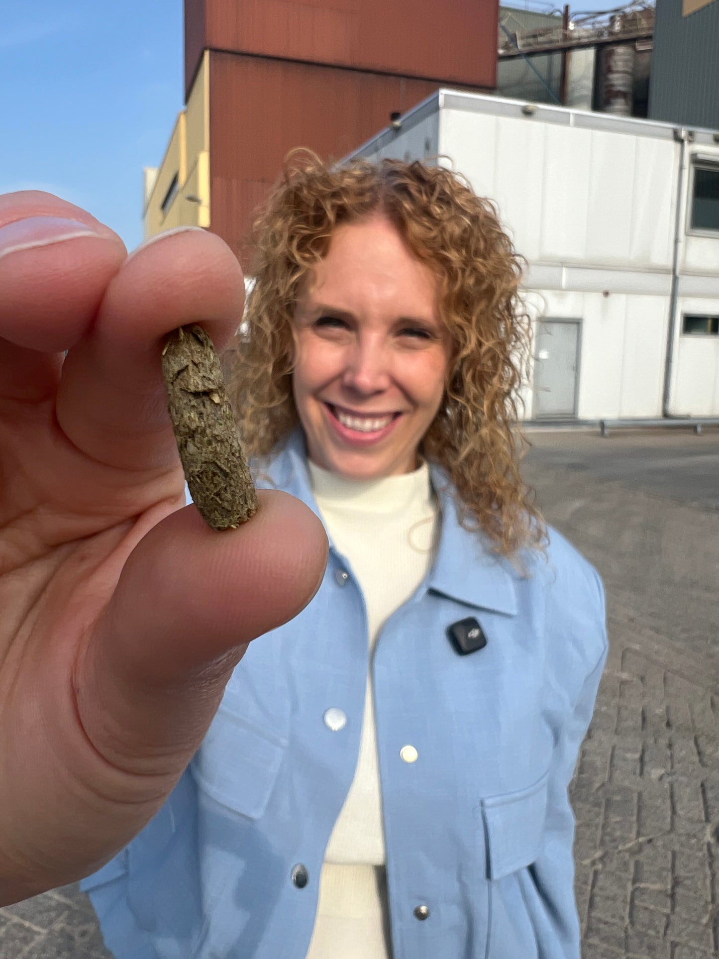 Knaagbrok konijn 3kg