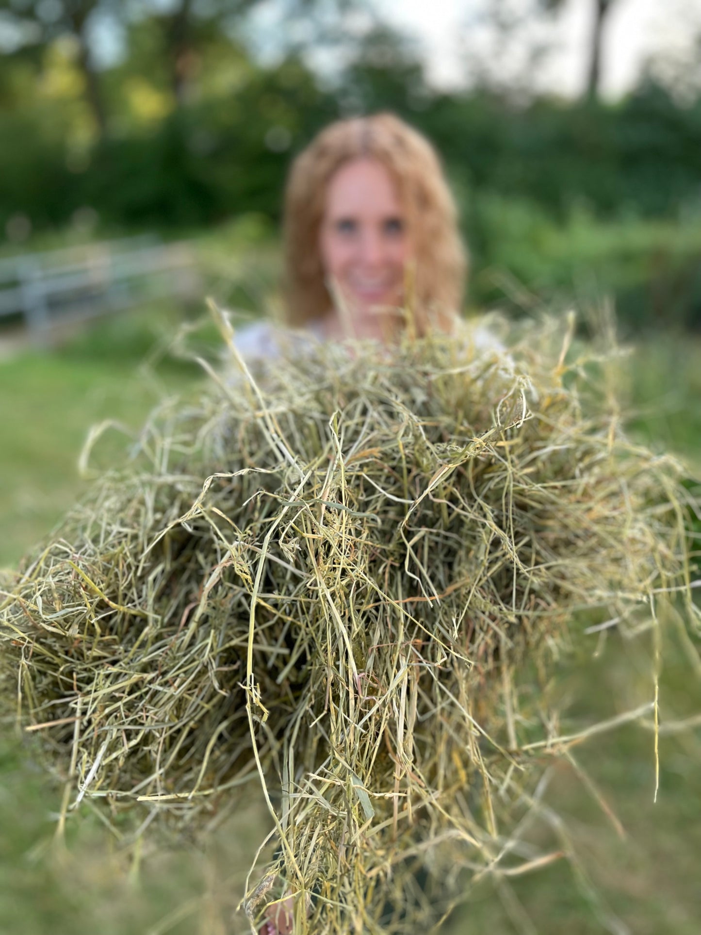 Bergweidehooi 4kg (tijdelijk met 1 kg hooi gratis!)