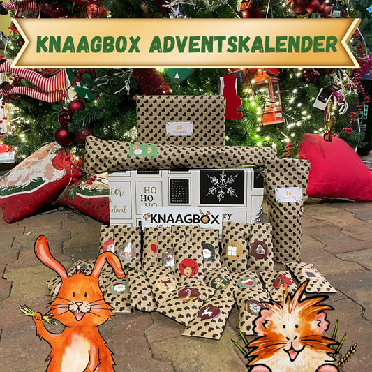 Knaagbox adventskalender.jpg__PID:ae0cabd2-5cf9-49fd-b046-5592df19bfaf
