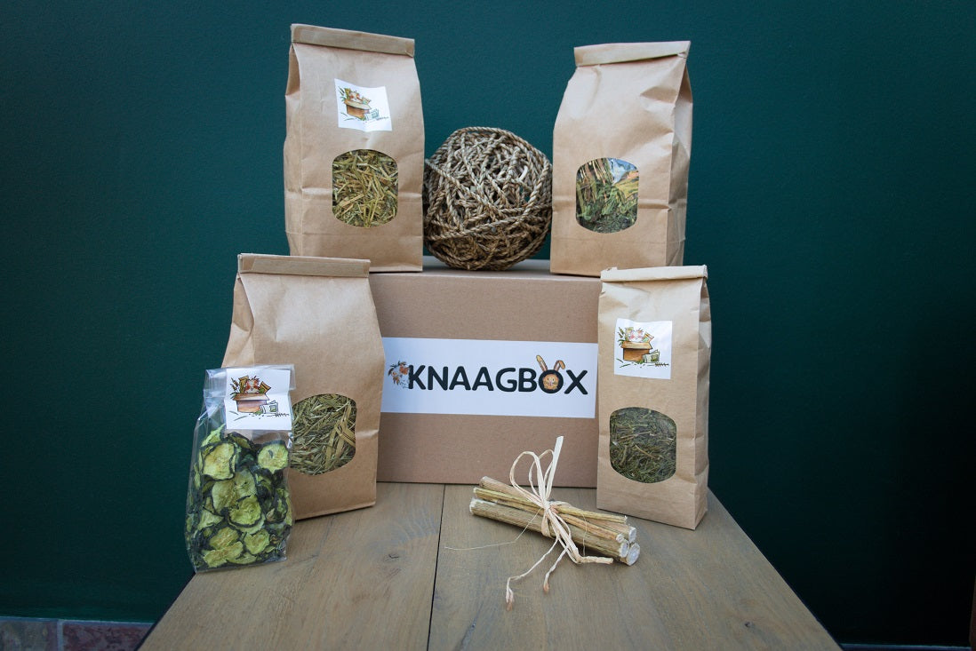 Knaagbox Cavia uit voorraad