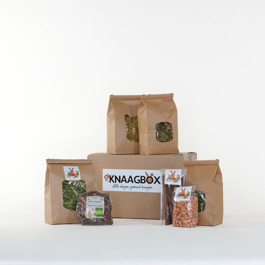 Nagerbox Kaninchen Dezember