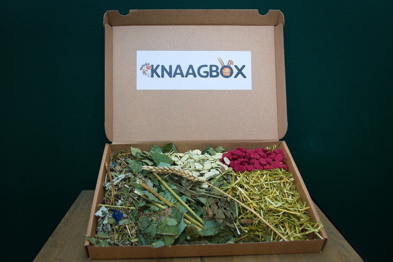 Try-Out pakket Knaagbox (gratis verzending)